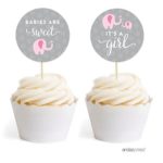 Andaz Press Pink Girl Elephant Baby Shower Collection, Cupcake Topper DIY Party Favors Kit, Babies are Sweet! It’s a Pink Girl!, 20-Pack