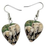 Elephants Elephant 2 X Logo Guitar Pick Earrings (GD)