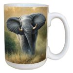 Tree-Free Greetings 45702 Jeremy Paul Elephant Ceramic Mug with Full-Sized Handle, 15-Ounce