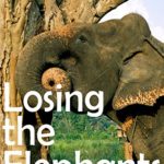 Losing the Elephants