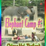 Clip: Travel Thailand Chiang Mai Maesa Elephant Camp #1