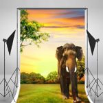 Leyiyi 3x5ft Photography Background Safari Elephant Backdrop Hunting Sunset Grassland Bankok Thailand Travelling Rainforest Nature Wild Animals Reserve Photo Portrait Vinyl Video Studio Props