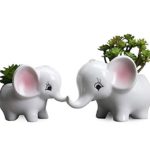 2 PCS Set Cute Cartoon Animal Shaped Succulent Cactus Flower Pot/Plant Pots/Planter/Container for Home Garden Office Desktop Decoration