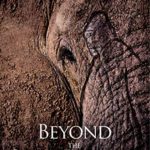 Beyond the Secret Elephants: On mystery, elephants and discovery