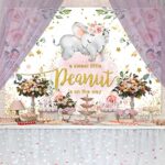 Sensfun Baby Girl Elephant Baby Shower Backdrop Pink Floral Sweet Little Peanut is on The Way Photography Background Pink Elephant Photo Banner for Party Cake Table Decorations (5x3ft)