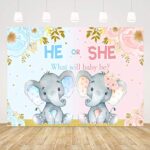 YQ Pink or Blue Elephant Flower Backdrops Elephant Gender Reveal Theme Party Photography Background He or She What Will Baby Be Baby Shower Photo Studio Props Banner 5x3ft